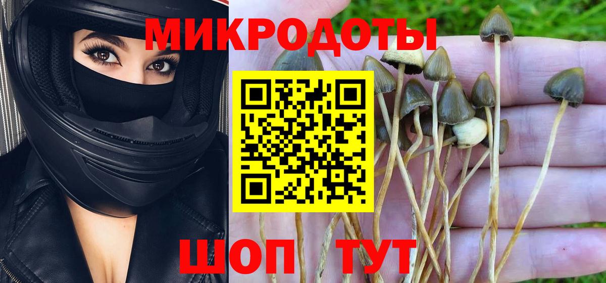 Псилоцибиновые грибы мицелий  Вход с VPN  Сердобск  Псилоцибиновые грибы прущие грибы 